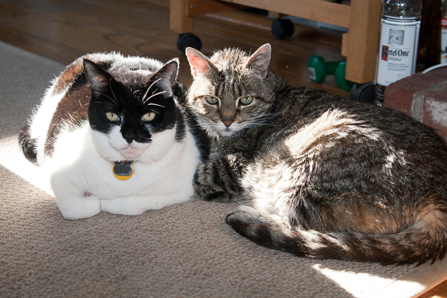 CANON_2012.10.13-0004.jpg - Jyoti and Kim cuddle together.